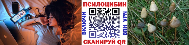 Псилоцибиновые грибы Cubensis  Майский 